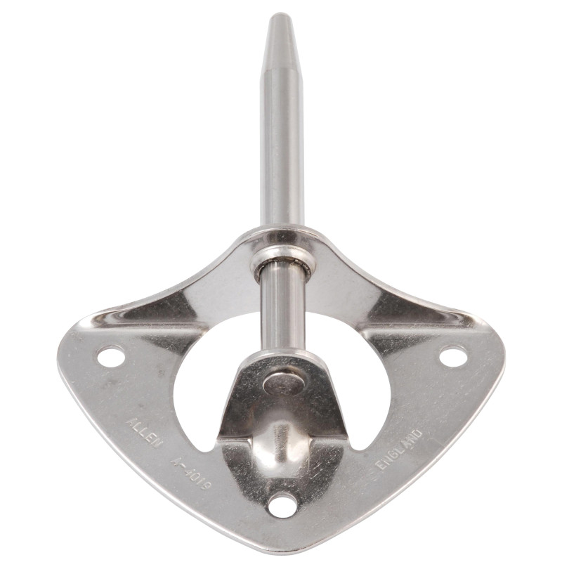 Photo of Stainless Steel Triangle Transom Pintle